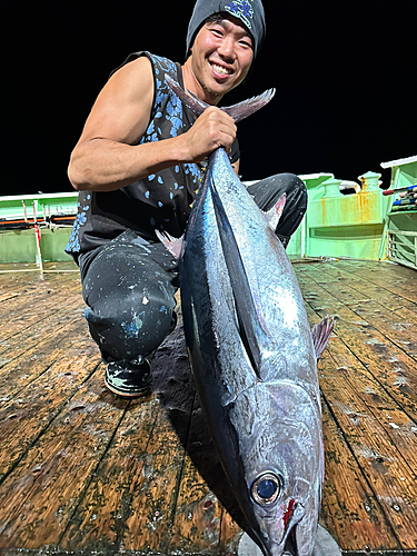 ビンチョウマグロの釣果