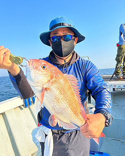 タイの釣果