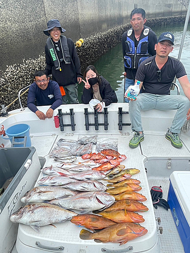 アコウの釣果