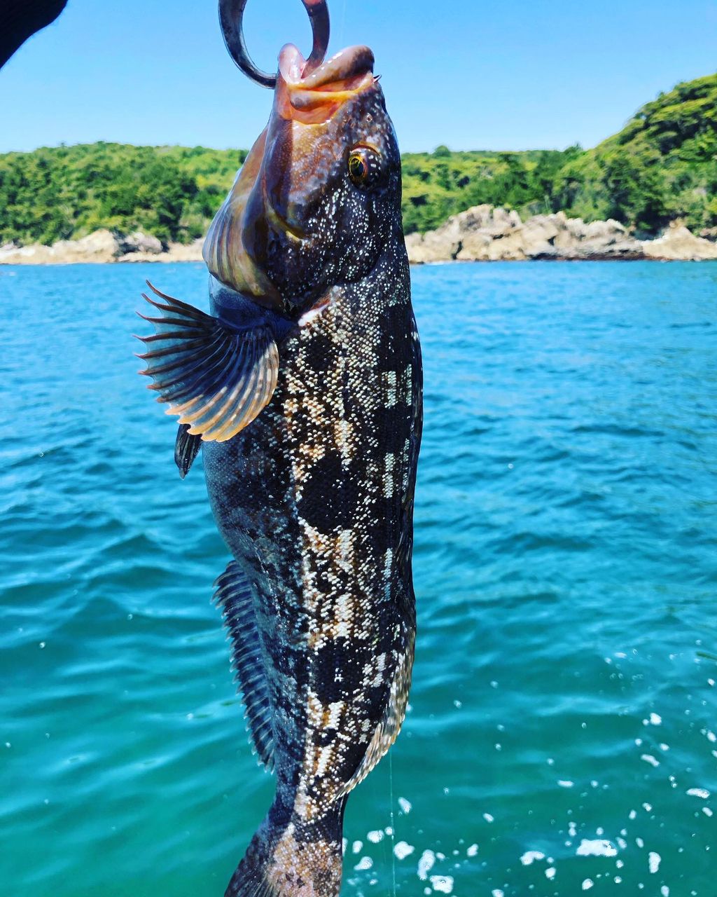 marimo_91さんの釣果 1枚目の画像