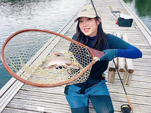 ニジマスの釣果