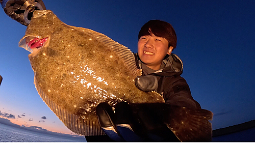 ヒラメの釣果