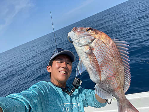 マダイの釣果