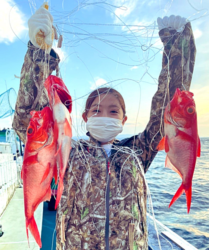 キンメダイの釣果