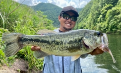 ブラックバスの釣果