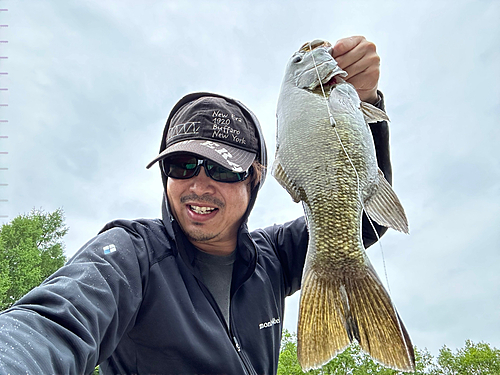 スモールマウスバスの釣果