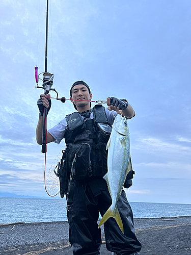 イナダの釣果