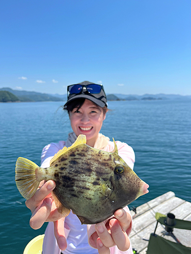 カワハギの釣果