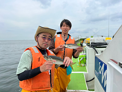 マアジの釣果