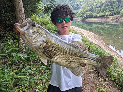 ブラックバスの釣果