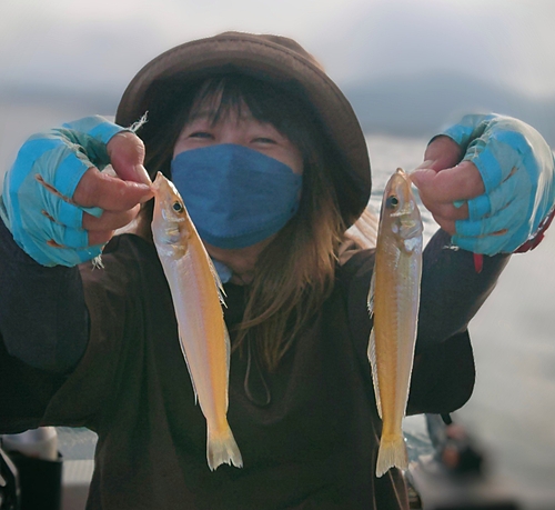 キスの釣果