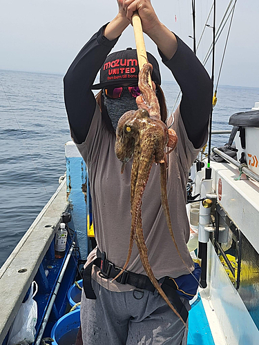 タコの釣果