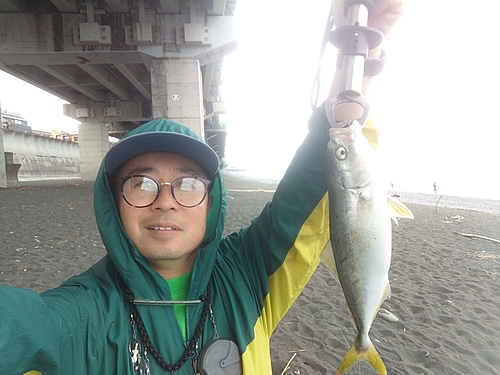 ワカシの釣果