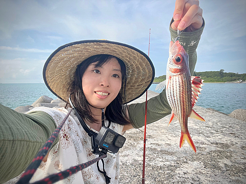 ウケグチイットウダイの釣果