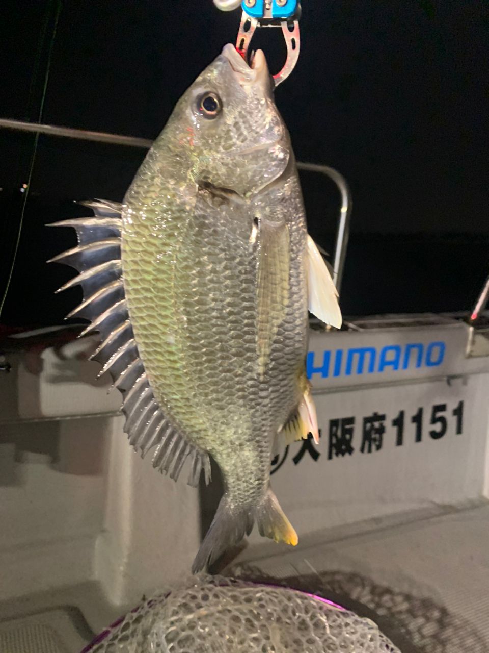 junpei.uemiさんの釣果 2枚目の画像