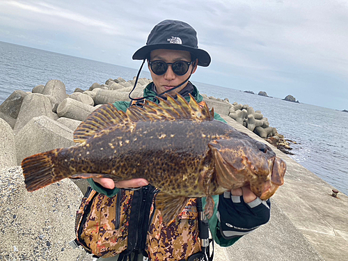 ベッコウゾイの釣果