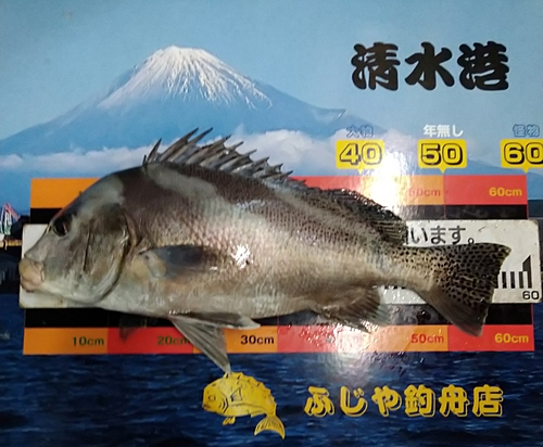 コショウダイの釣果