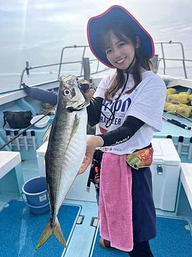 マアジの釣果