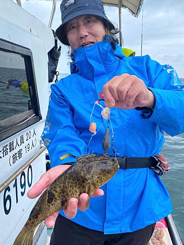 ショウサイフグの釣果