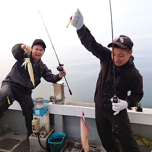 ヤリイカの釣果