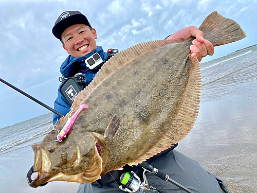 ヒラメの釣果