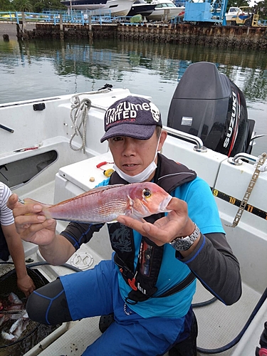 アマダイの釣果