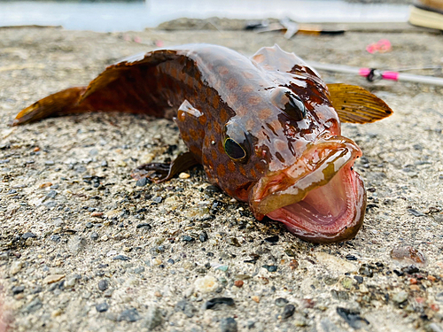 釣果