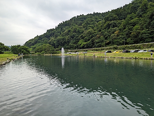 ニジマスの釣果