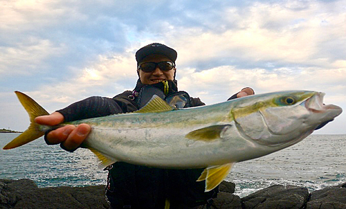 イナダの釣果