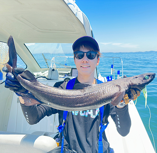 ユメザメの釣果