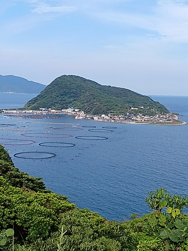 オオモンハタの釣果