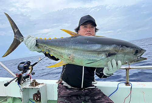 キハダマグロの釣果