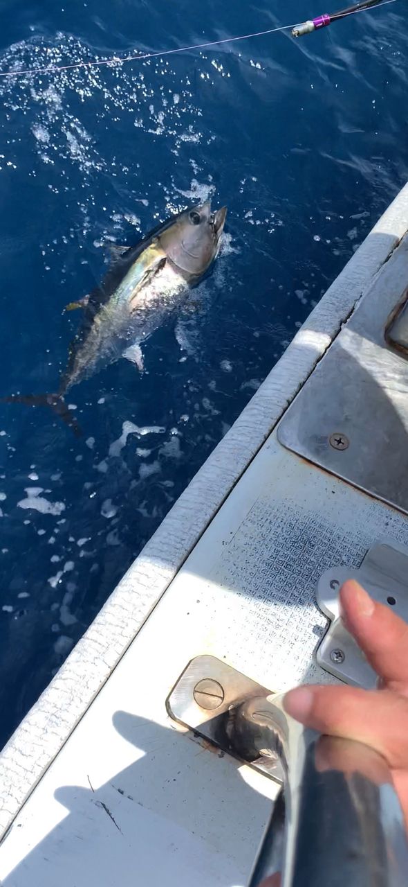 ホクロさんの釣果 2枚目の画像