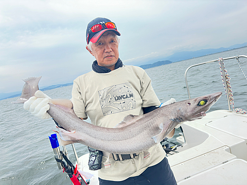 モミジザメの釣果