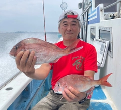 マダイの釣果