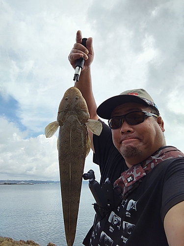 ミナミマゴチの釣果