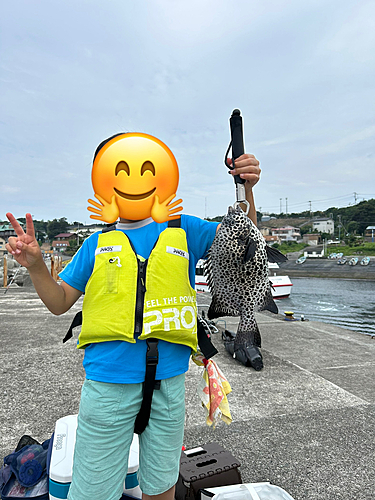 イシガキダイの釣果