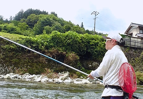 アユの釣果