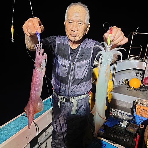 ヤリイカの釣果