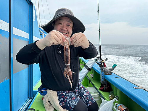 スルメイカの釣果