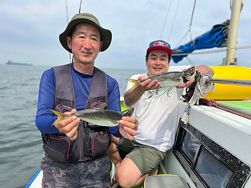 マアジの釣果