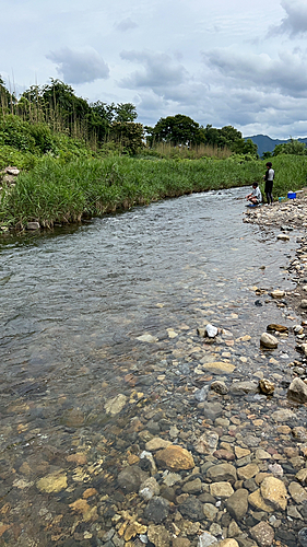 コアユの釣果