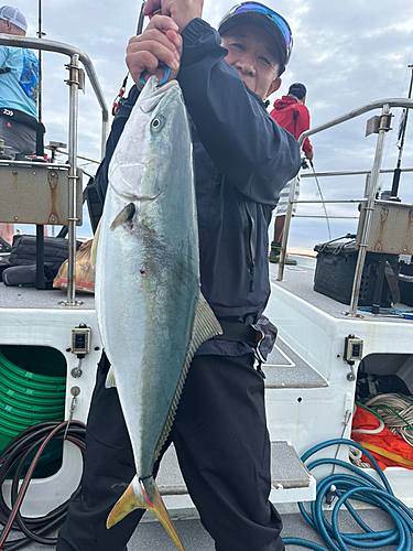 ワラサの釣果