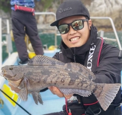 アイナメの釣果