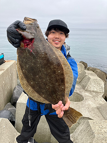 ヒラメの釣果