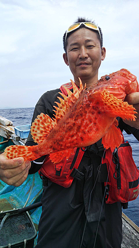 オニオコゼの釣果