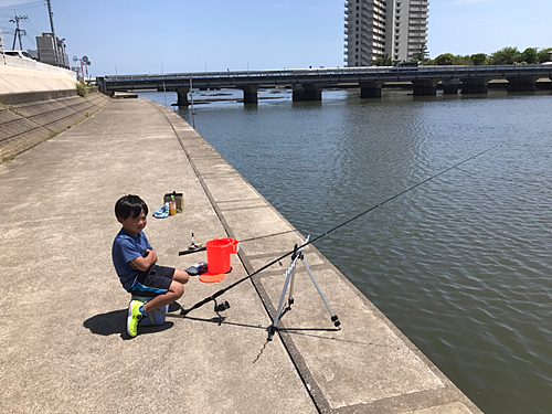 ハゼの釣果