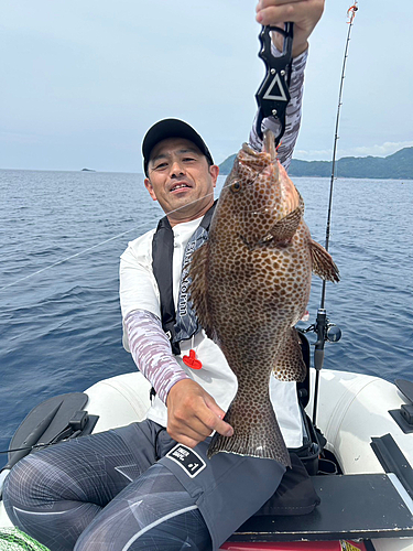 オオモンハタの釣果