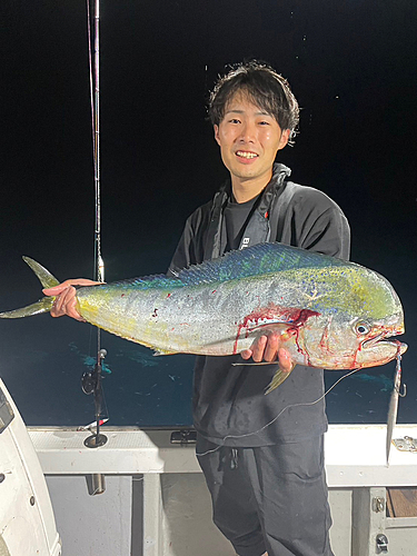 シイラの釣果