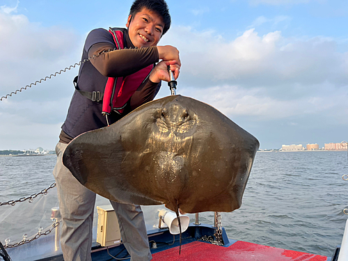 ツバクロエイの釣果